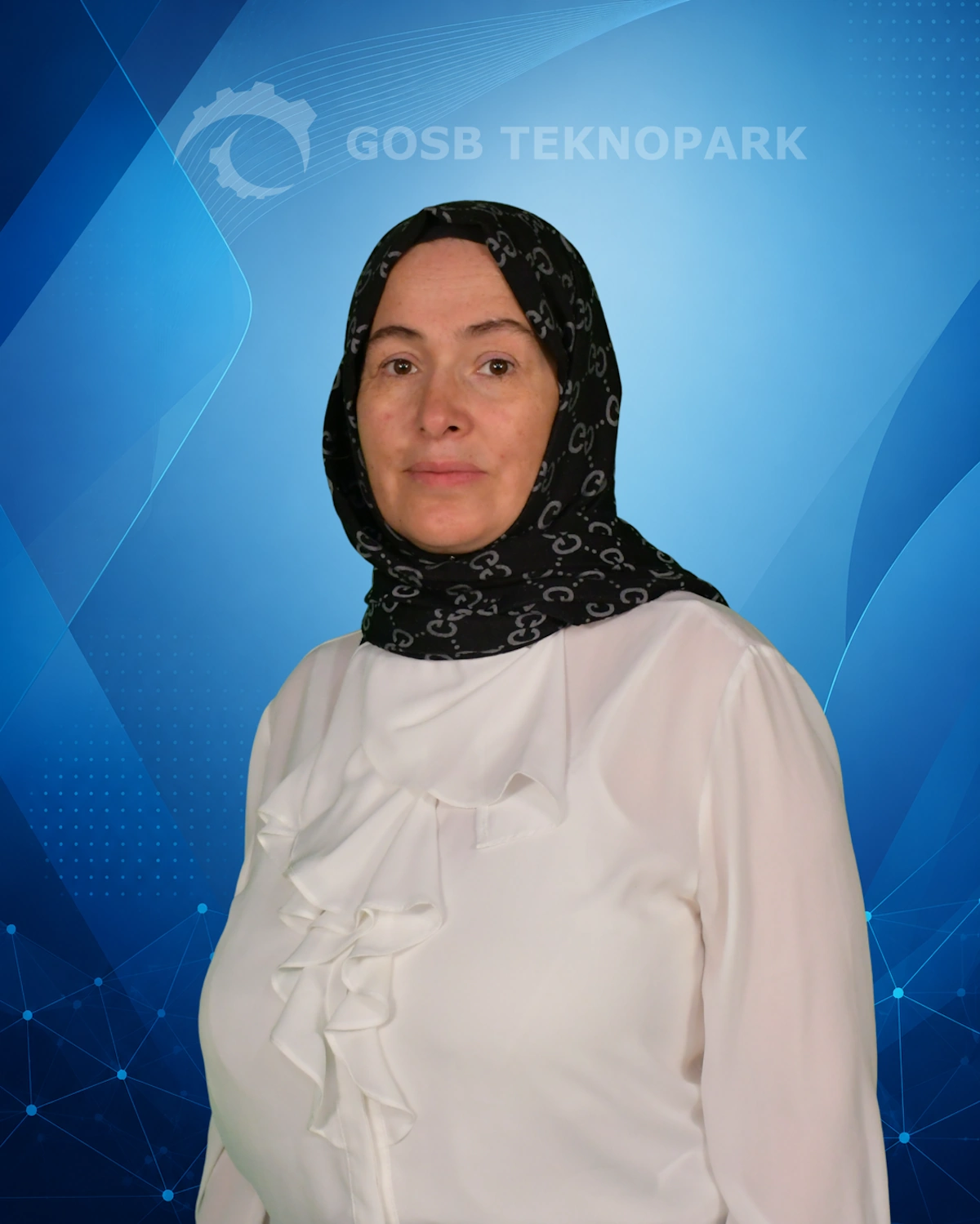 asli ertoz