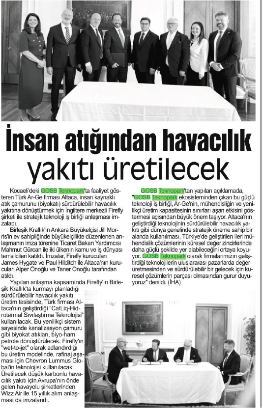 insanatigi