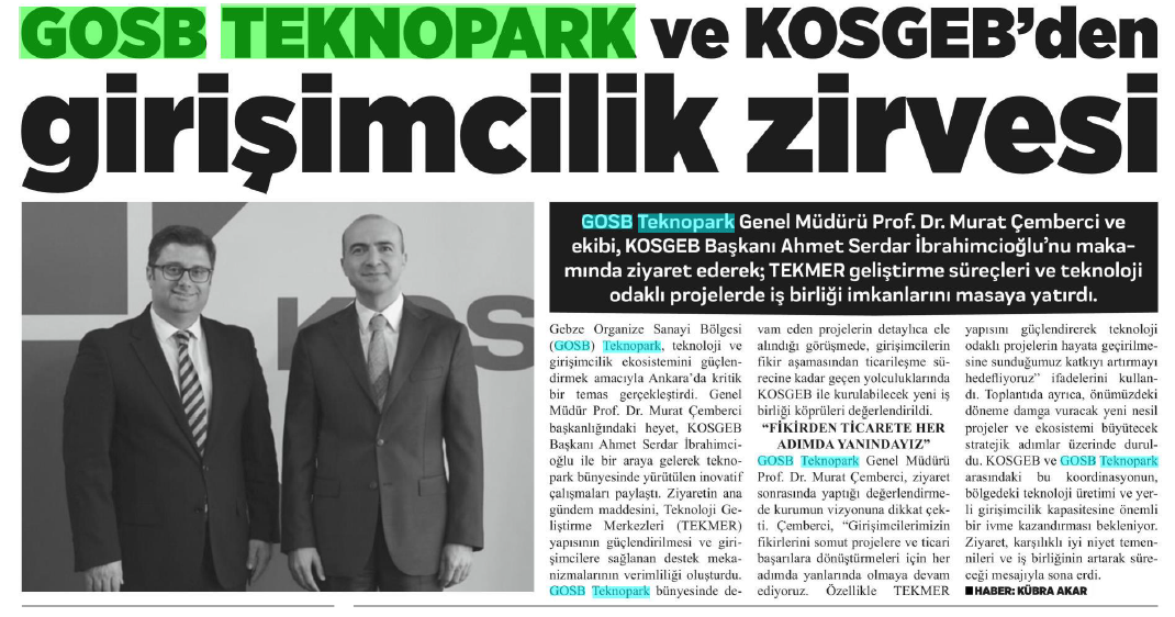 gebzehurses2