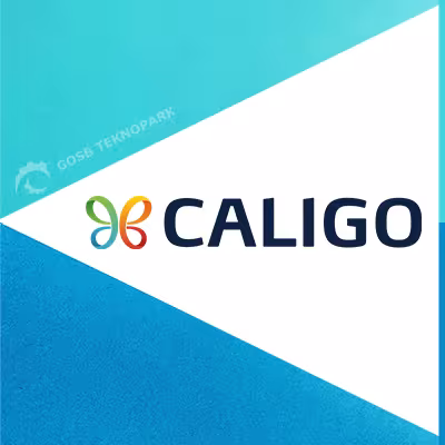 Caligo Teknoloji A.Ş.