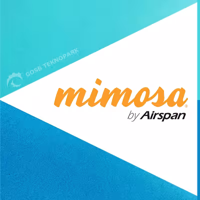 mimosa