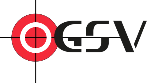 gokservisionlogo