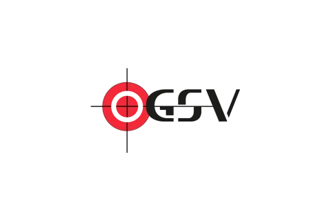 gokser_vision